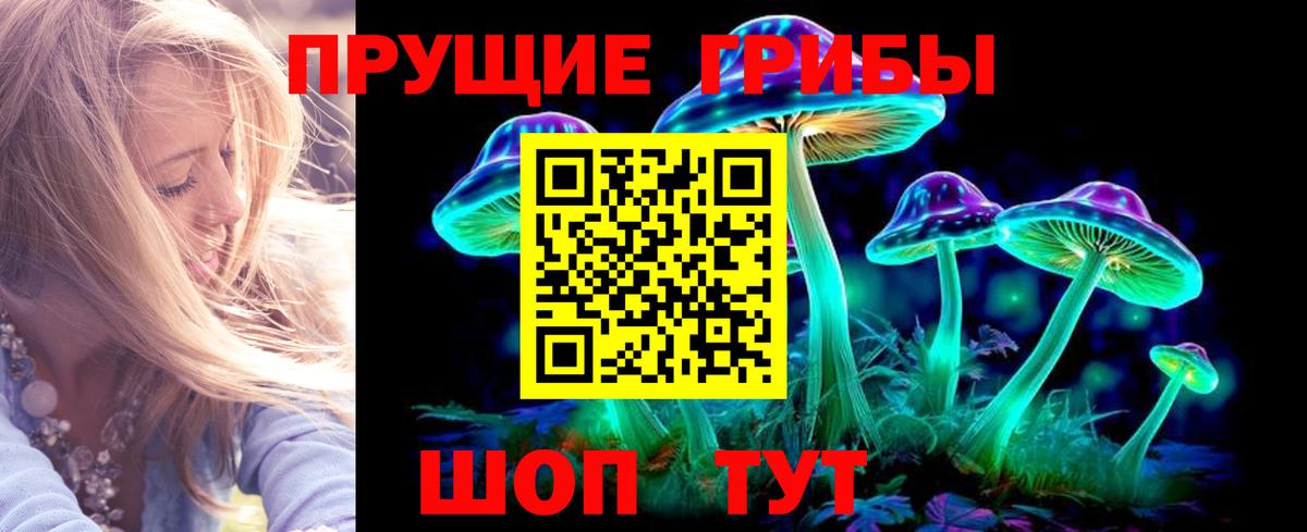 купить закладку  Вход с VPN  Гай  Псилоцибиновые грибы GOLDEN TEACHER 